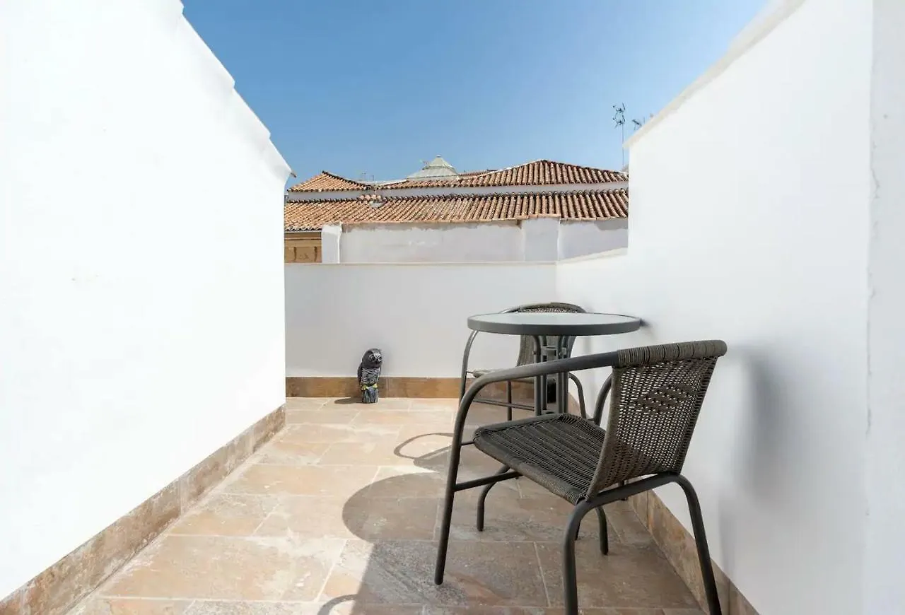 El Sueno De Noctiluca Hotel Malaga 0*,